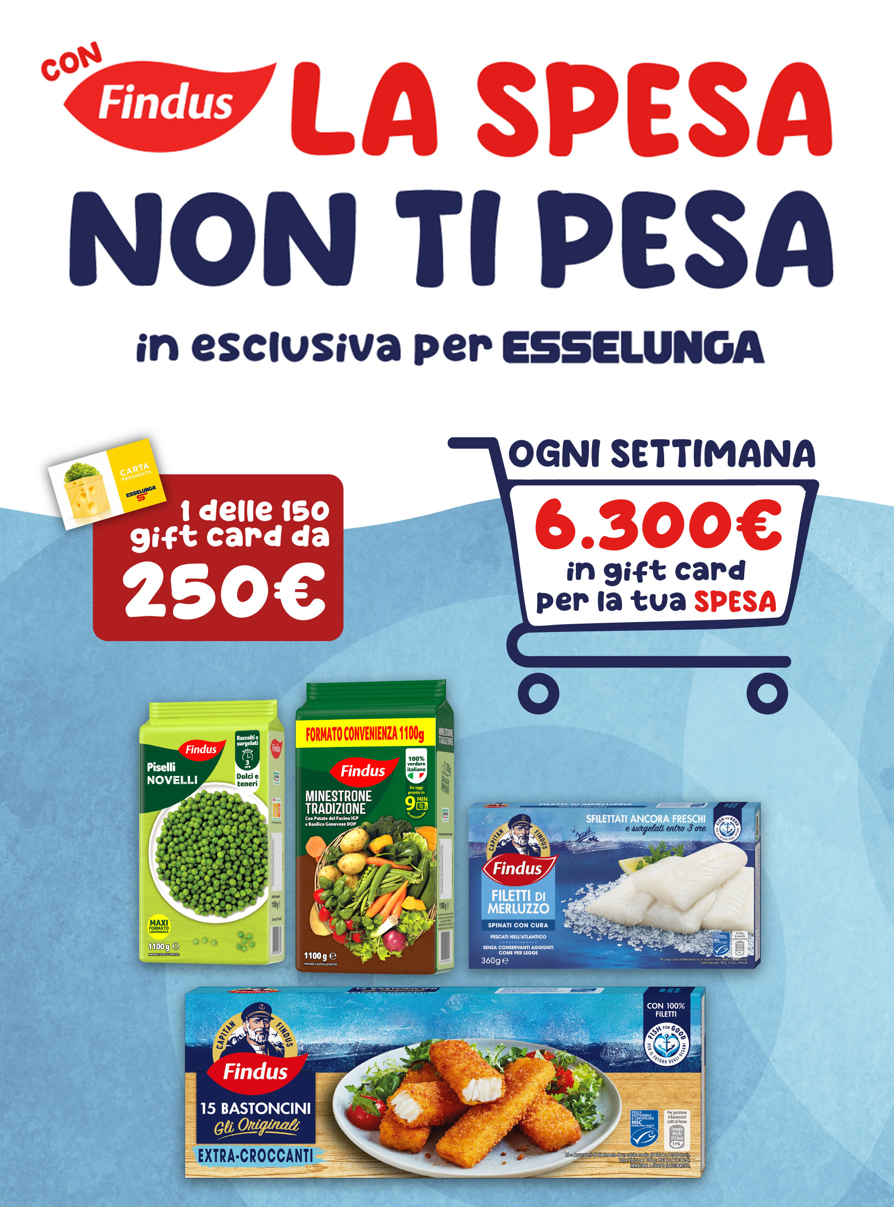 Acquista 2 prodotti Findus e partecipa al concorso! versione mobile